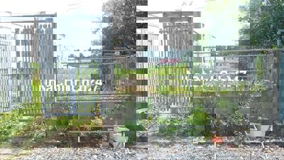 Đất Chính Chủ Thổ Cư 100% DT: 11m x 100m SHR