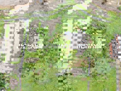 Chính chủ cần bán đất Long An - Tây Ninh