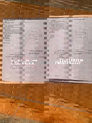 CHÍNH CHỦ BÁN ĐẤT SỔ HỒNG, ẤP THẠNH SƠN 4,XÃ PHƯỚC TÂN,XUYÊN MỘC,BRVT