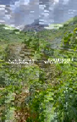 CHÍNH CHỦ BÁN 6HA XÃ ĐẠ RSAL, ĐAM RÔNG, LÂM ĐỒNG