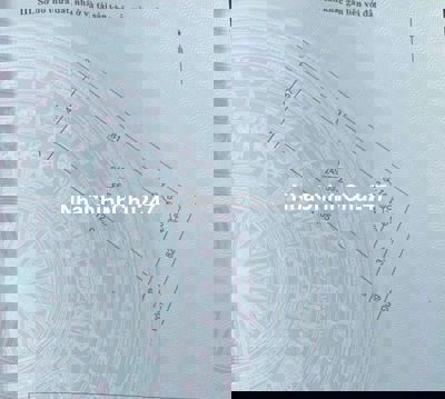 Chính chủ bán 55m2 lô góc tổ 4 Quang Minh