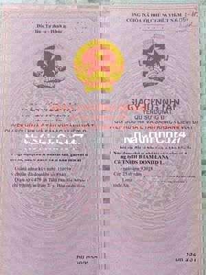 chính chủ dự án diamond city