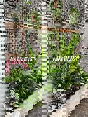 bán nhà hẻm quận 1 chính chủ ***