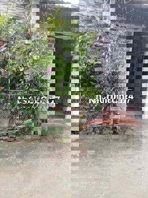 Bán Nhà Chính Chủ Lâu Năm