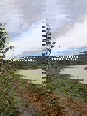 Chính chủ bán đất Mặt tiền Sông Đồng Nai -Giá 3,5 tỷ -Lâm Hà -Lâm Đồng