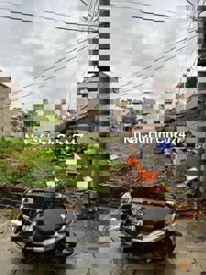 🏡 CHÍNH CHỦ BÁN GẤP LÔ ĐẤT 56,2m² – VÂN NỘI, ĐÔNG ANH, HÀ NỘI