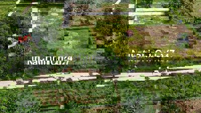 tôi chính chủ cần bán lô biệt thự hoà bắc