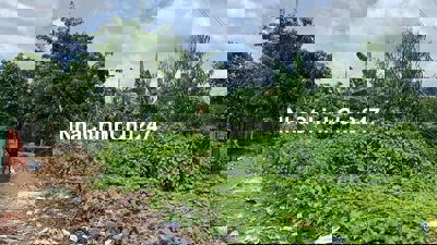 ĐẤT CHÍNH CHỦ, CẦN BÁN GẤP CHO CON HỌC ĐẠI HỌC