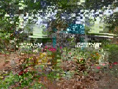 Chủ Về Bắc Sang Lại Nhà Vườn