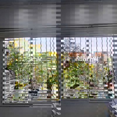 Chính Chủ Bán Gấp Căn Penhouse Hai Bà Trưng, View Triệu Đô.