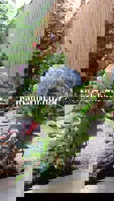 CHÍNH CHỦ HẠ GIÁ BÁN GẤP BIỆT THỰ ĐẸP 360M NB 💰. Giá 33 tỷ Tl giảm 🌷31