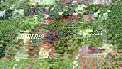 Chính chủ cần bán