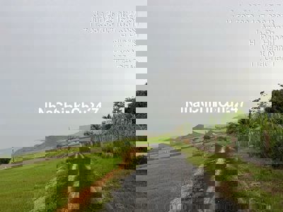 Đất vuông vức, có sẵn thổ cư, sổ hồng ri��ng chính chủ