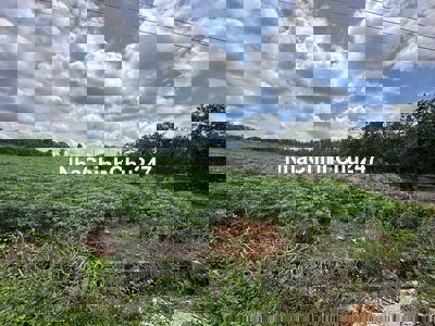 Chính chủ bán 1hecta tại Đường ĐT328 Bàu Lâm, Xuyên Mộc, BRVT