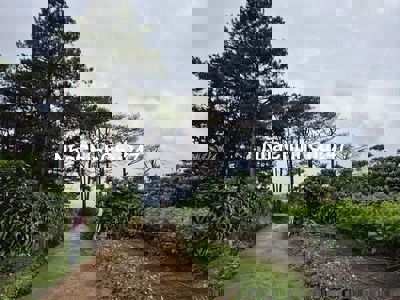 Chủ cắt lỗ 50% lô nghỉ dưỡng siêu đẹp