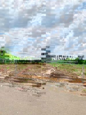 Chính chủ gửi bán gấp lô đất thổ cư Chợ An Linh , SHR