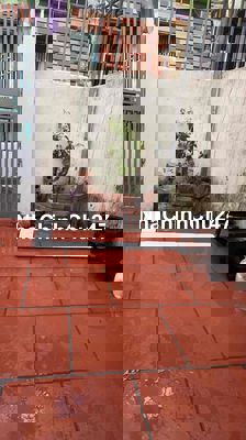 Chính chủ bán nhà khu 810 vĩnh quỳnh