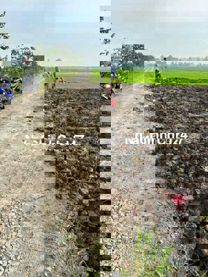 CHÍNH CHỦ kẹt tiền bán 2 nền thổ 139m2/nền, Cần Đước, Long An