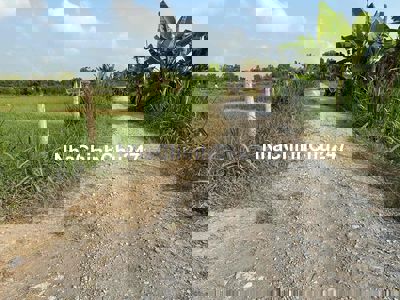 CHÍNH CHỦ CẦN BÁN ĐẤT VƯỜN – NGAY CẢNG, SÁT CỬA KHẨU BÌNH HIỆP – KIẾN