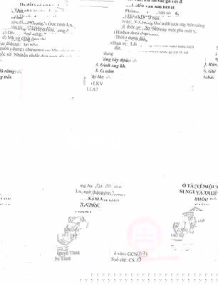 🔥ĐẤT ĐẦU TƯ CẠNH VINHOMES - NGUỒN RẺ CHÍNH CHỦ🔥