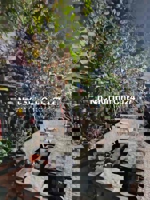 Chính chủ bán đất ở mặt tiền Phường Bình Hưng Hòa A  uận Bình Tân