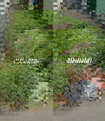 Chính chủ bán gấp dt 117m2 giá 1ty180 Cần Giờ