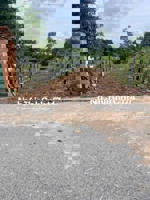 Chính chủ bán lô đất DT 245m2,SHR,Đường nhựa 12m,giá 1ty550