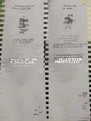 Chính chủ cần bán đất lúa