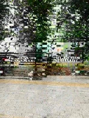 Bán đất chính chủ mặt tiền trần quý cáp