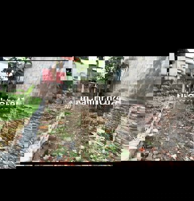 CHÍNH CHỦ BÁN TRỤC CHÍNH THÔN THÁI BÌNH XÃ ĐÔNG ANH