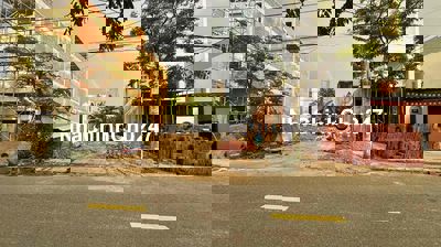 Nắm Chính chủ đường Thông Nguyễn Hiến Lê