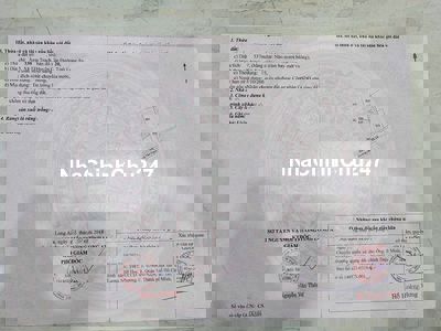 ĐẤT LÚA CHÍNH CHỦ - SỔ HỒNG RIÊNG - Xã Tân Trạch, Cần Đước, Long An