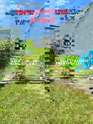 Chính chủ cần bán gấp lô đất 5x16m Đức Hoà Đông, Long An