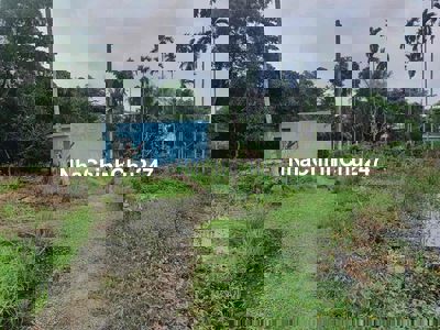 Chính chủ bán đất vườn cách Quốc Lộ 50 chỉ vài phút