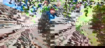 Chủ gửi Căn Hộ MT Phạm Văn Đồng, Căn góc 75m2, Tặng Full nội thất