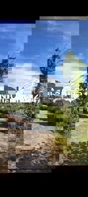 chính chủ bán lô đất 1000m2 cây lâu năm  khánh vĩnh .