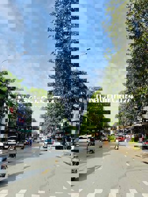 mặt tiền đường N1 khu D2D chính chủ