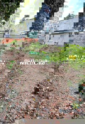 Chính chủ Bán đất Tương Bình Hiệp- Thủ Dầu Một 259m2 sẵn 150m thổ cư