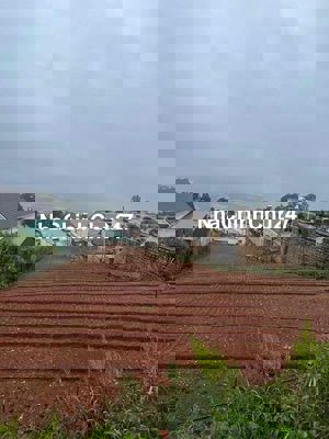 Chính Chủ Cần Tiền Bán Lỗ Mảnh Đất 1270m2 Xuân Thọ Đà Lạt