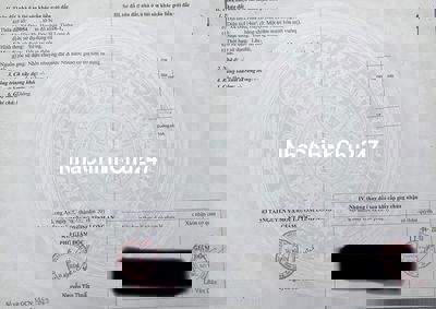 Bán đất view đẹp chính chủ Tây Ninh giáp ranh TpHCM