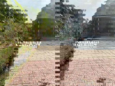 chính chủ cần bán đất