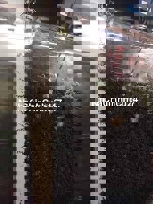 chính chủ bán 35 m đất Thượng Phúc , ngõ to , giá 2ti75