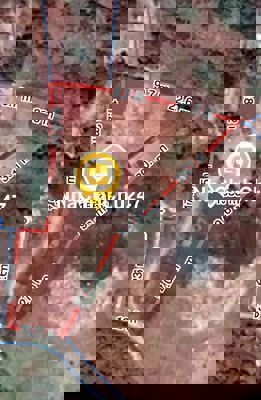 Chính chủ cần bán 1543,5m2 đất, nhà ở Tân Phước,La Gi,còn thương lượng