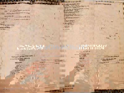 Cần tiền chính chủ bán gấp 196m2 thổ cư