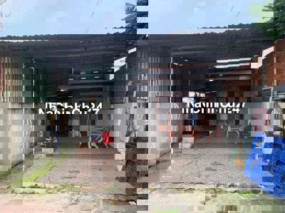 Chính chủ Cần bán căn nhà ở Tân Hiệp Hóc Môn