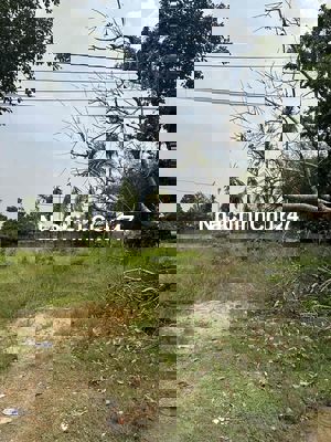 bán đất chính chủ