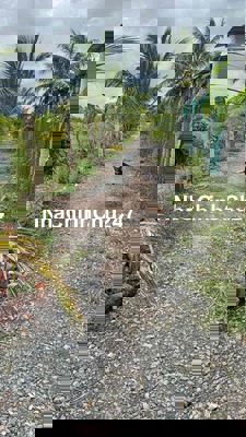 chính chủ bán 1 công đất rẻ