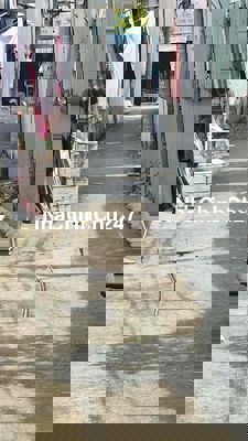 đất chính chủ bán