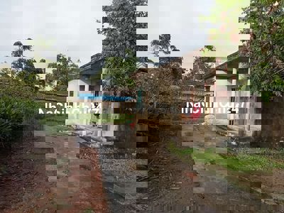 Chính chủ cần bán đất, xã công liêm nông cống