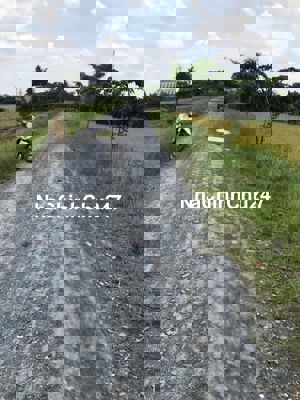 Chủ cần bán gấp